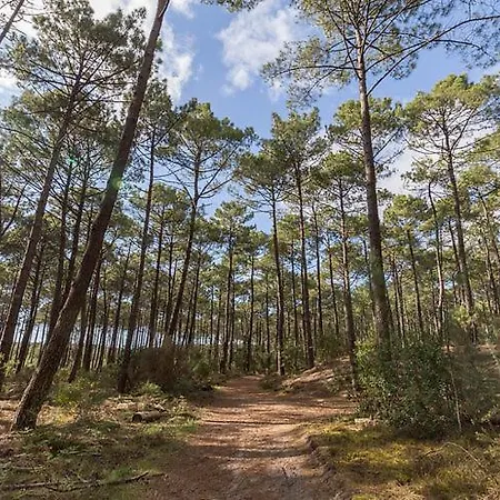 Les Pious Landais Aureilhan (Landes)